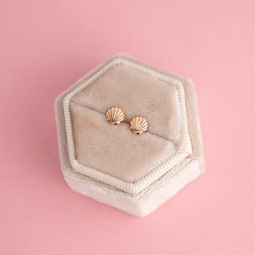 Rose Gold Tiny Sea Shells Earrings Studs