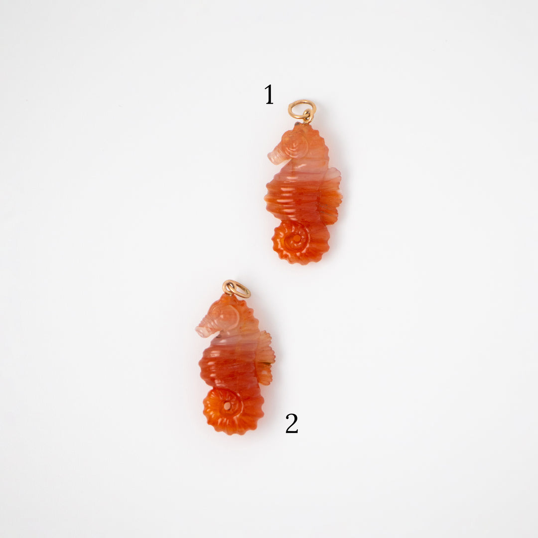 Sea Horses — Carnelian Carvings with 14k gold