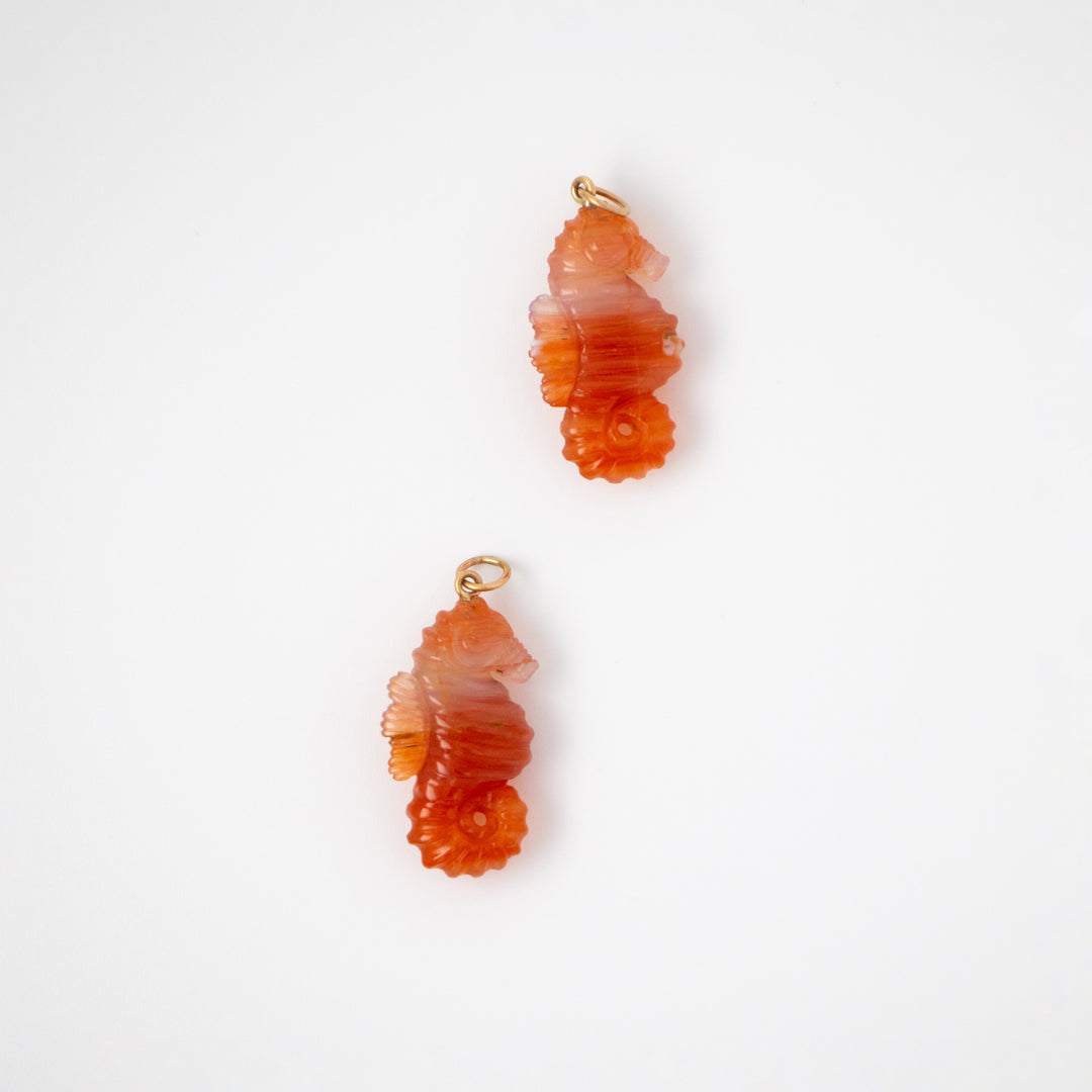 Sea Horses — Carnelian Carvings with 14k gold