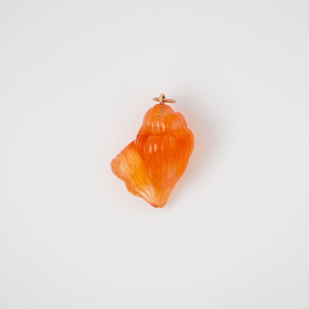 Conch — Carnelian Carving with 14k gold