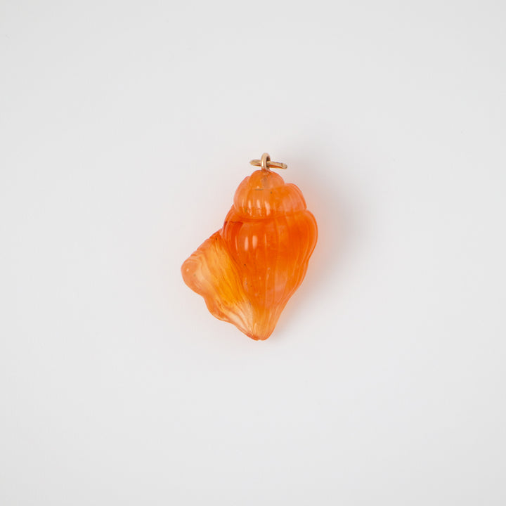 Conch — Carnelian Carving with 14k gold