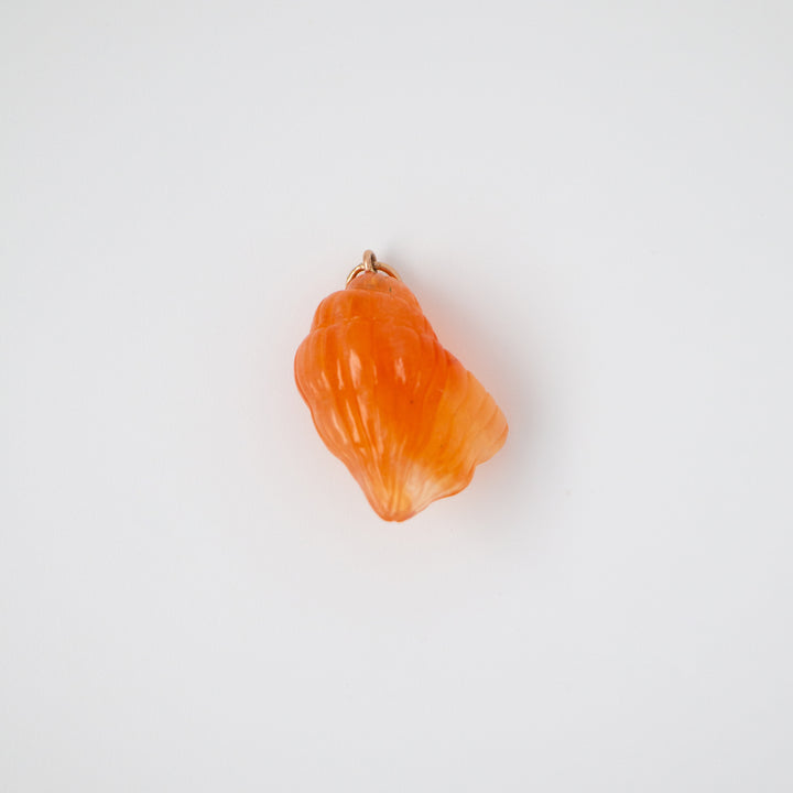 Conch — Carnelian Carving with 14k gold