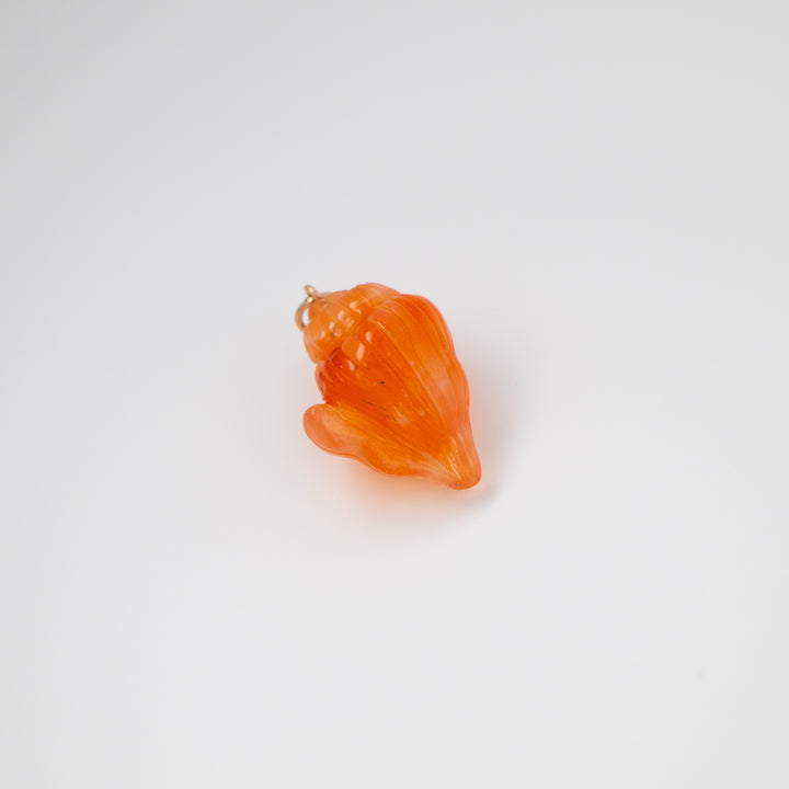 Conch — Carnelian Carving with 14k gold