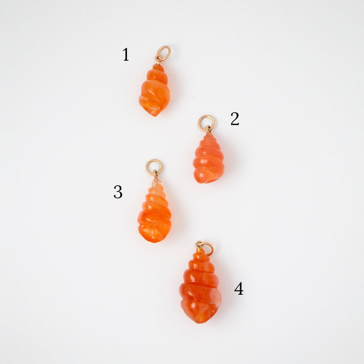 Sea Shells — Carnelian Carvings with 14k gold