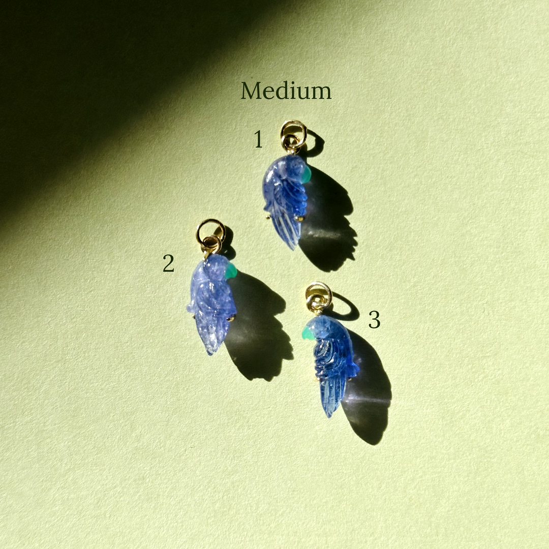 Pericos — Tanzanite Parrot Carving with 14k gold